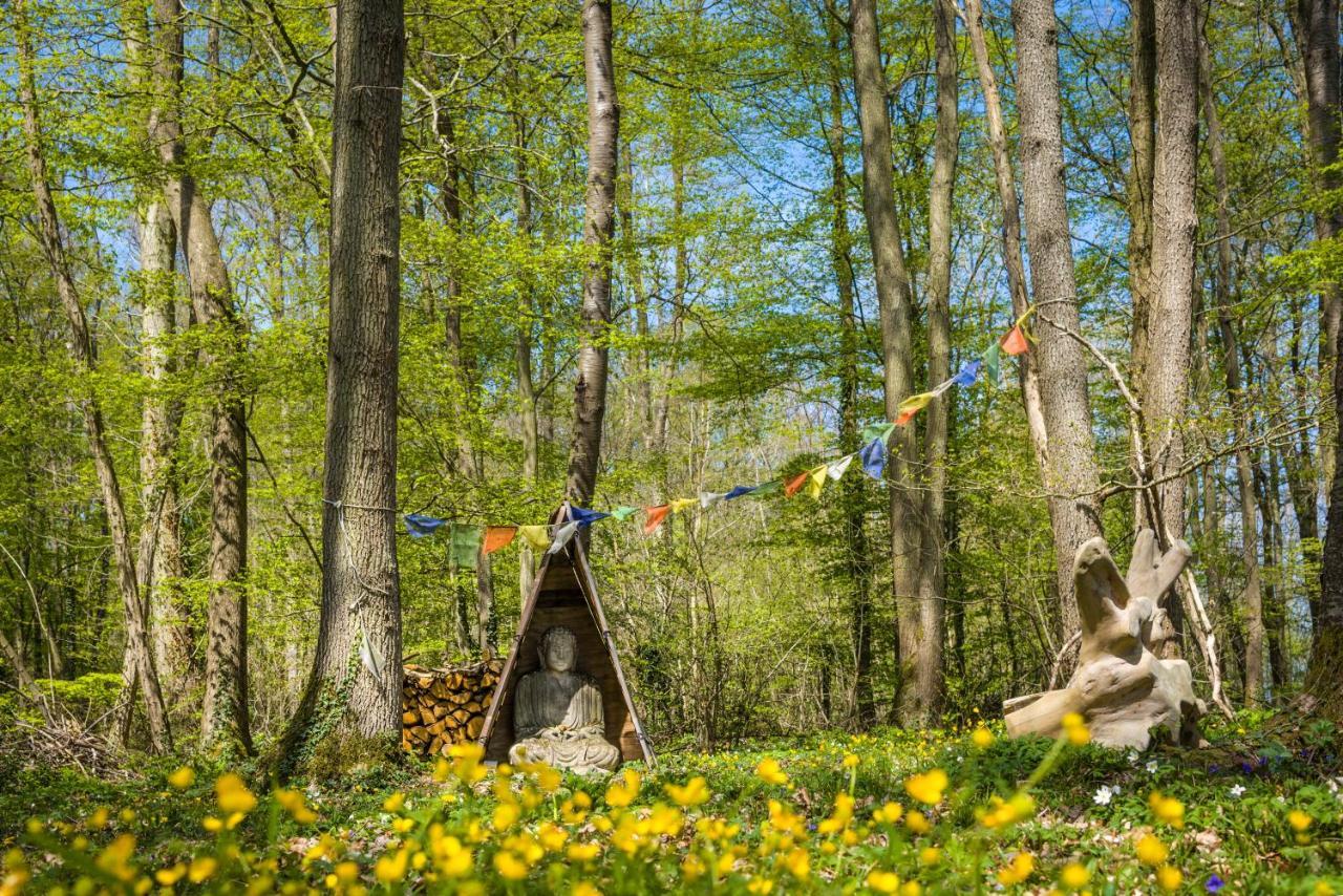 Gites Du Bois Des Perruches Saint-Vincent-des-Bois Kültér fotó