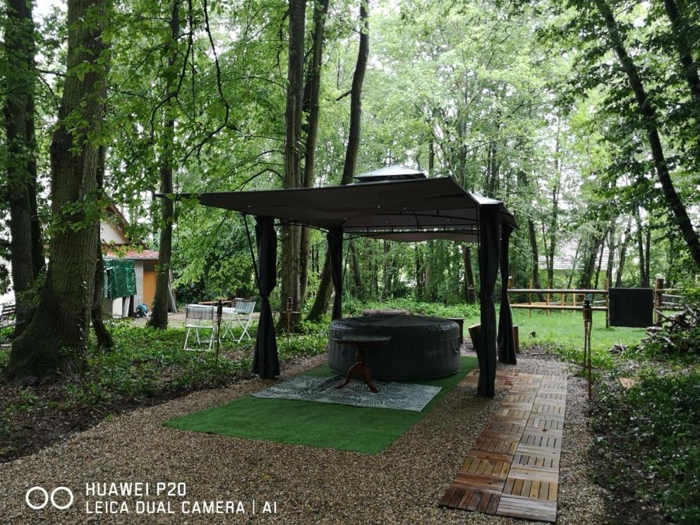 Gites Du Bois Des Perruches Saint-Vincent-des-Bois Kültér fotó