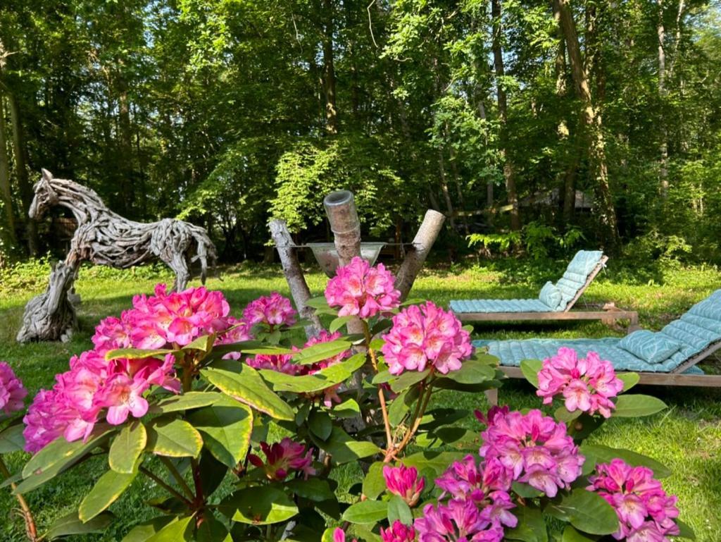 Gites Du Bois Des Perruches Saint-Vincent-des-Bois Kültér fotó