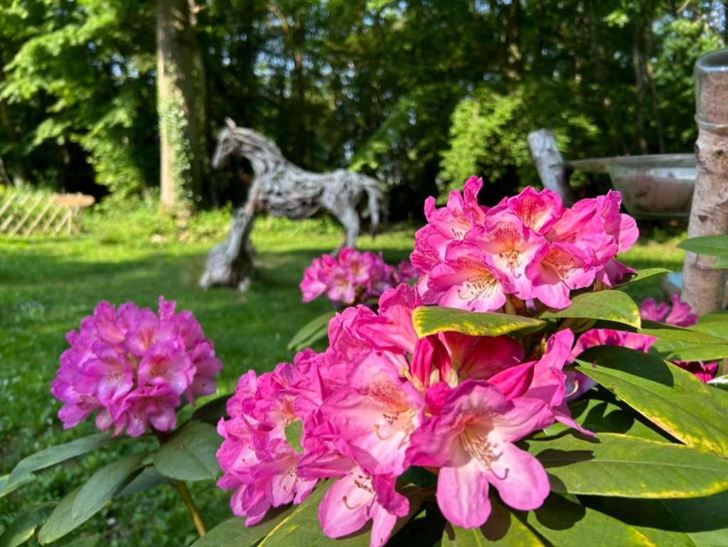 Gites Du Bois Des Perruches Saint-Vincent-des-Bois Kültér fotó